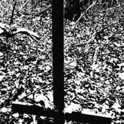 Ordem Satânica : Expurgação da Ira Pelo Ventre de Satanás